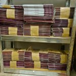 Family Court Reports