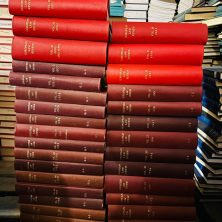 WhatsApp Image 2024 11 14 at 11.12.55 a7486fc5