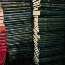 WhatsApp Image 2024 11 14 at 11.15.35 a954d0ff