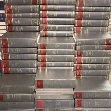 s l1600 2025 01 09T210250.413