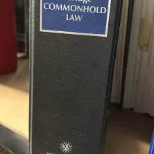 s l1600 2025 02 09T105828.070