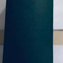 s l1600 2025 02 14T160420.654