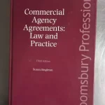 s l1600 2025 02 21T204247.120