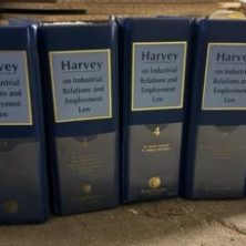 s l500 2025 02 07T201459.887