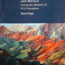 s l500 2025 02 18T202934.024