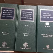 s l960 2025 02 02T165631.396