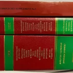 s l960 2025 02 02T170532.486