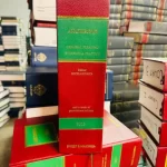 s l960 2025 02 25T212819.048