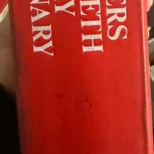 s l1600 2025 03 07T123348.187