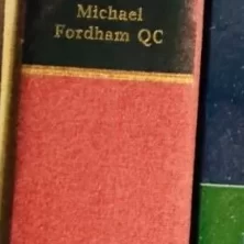 s l1600 2025 03 07T203021.240