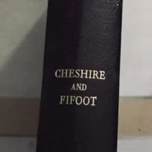 s l1600 2025 03 16T112454.248