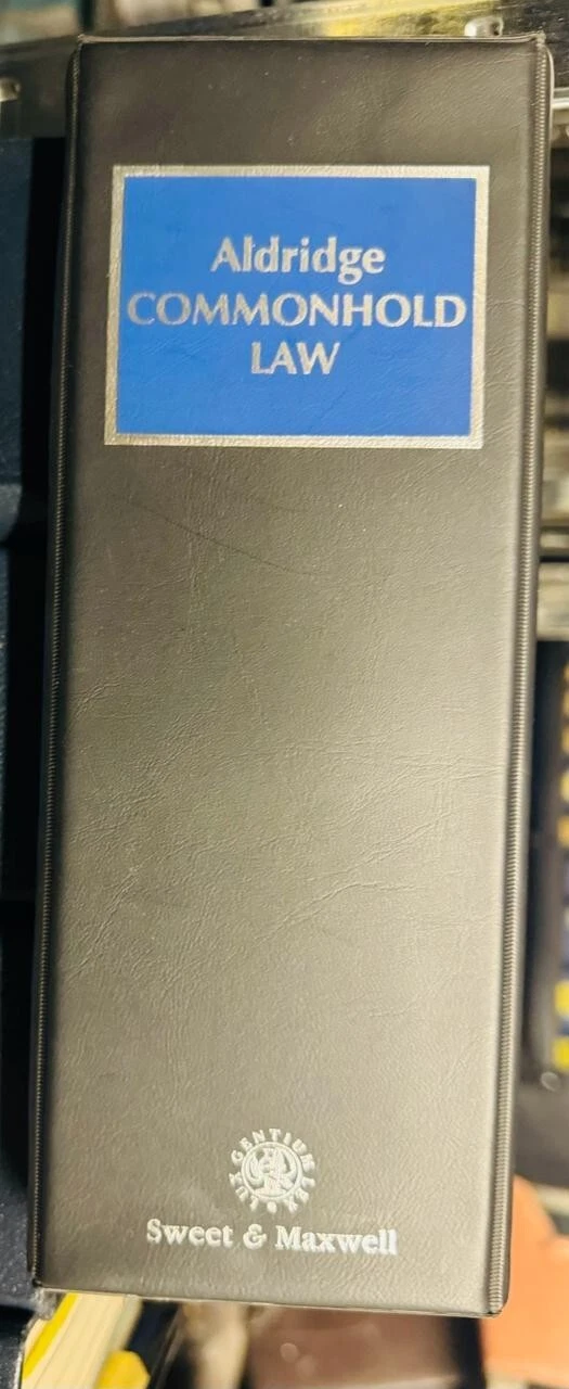 s l1600 2025 10 14T222930.675